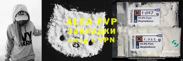индика Пестово