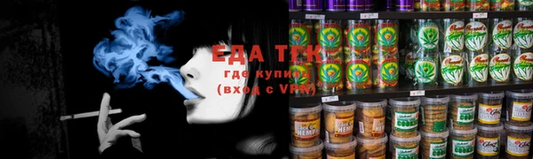 индика Пестово