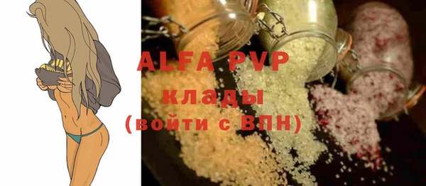 индика Пестово