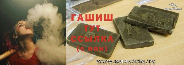 индика Пестово
