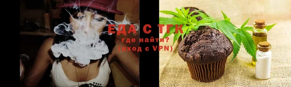 индика Пестово