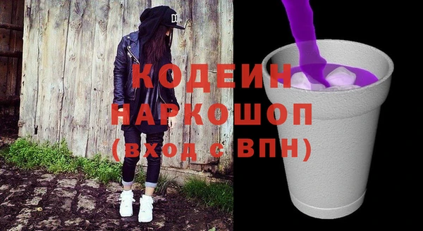 индика Пестово