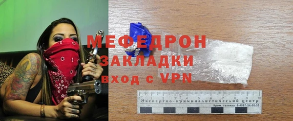 индика Пестово