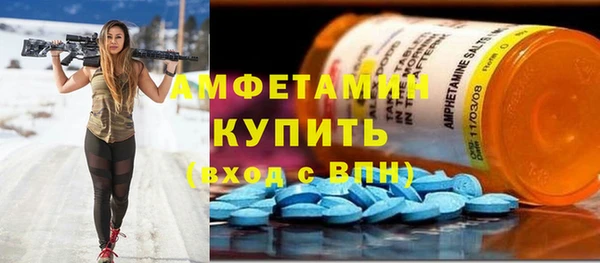 дмт Каменка