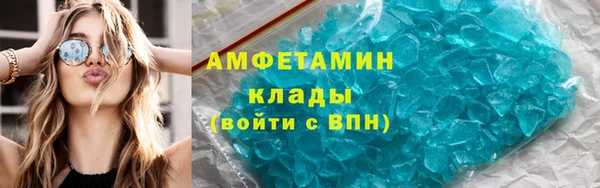 индика Пестово
