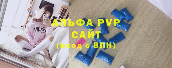 индика Пестово